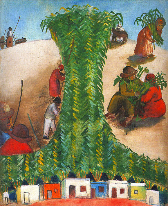 Dias_canavial.png